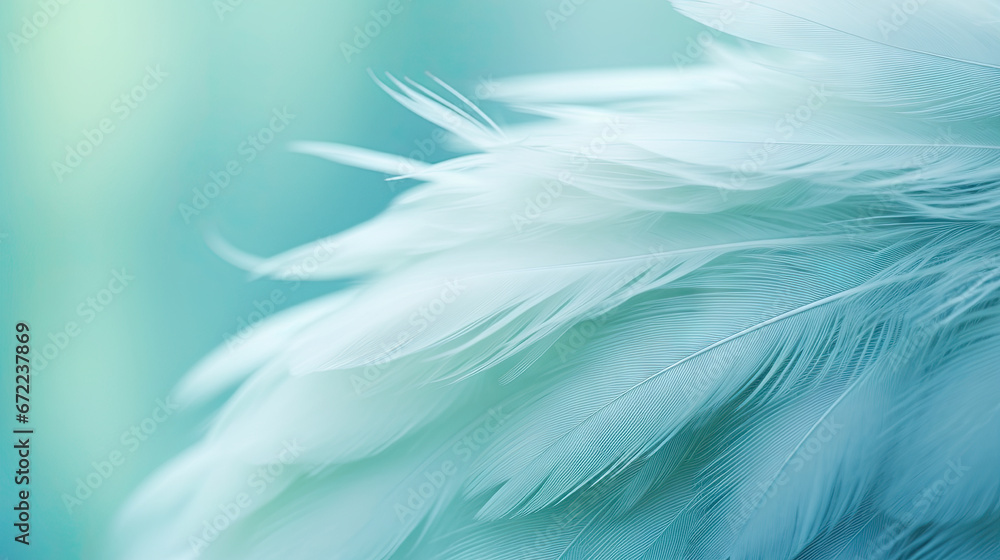 a close up of a white feather on a blue background. generative ai a close up of a white feather on a blue background. generative ai