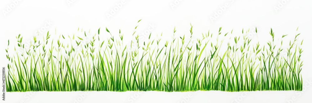 grass field drawn by green pen, white background. grass field drawn by green pen, white background.