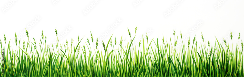 grass field drawn by green pen, white background. grass field drawn by green pen, white background.