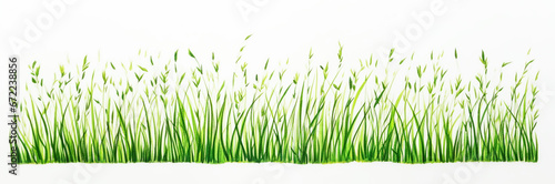grass field drawn by green pen  white background.