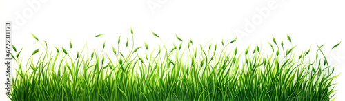 grass field drawn by green pen  white background.