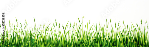 grass field drawn by green pen, white background.