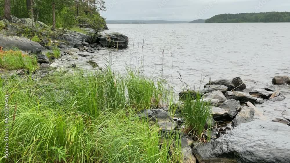 Beautiful nature and a wonderful landscape with lush green forests and vegetation around lake Beautiful nature and a wonderful landscape with lush green forests and vegetation around lake