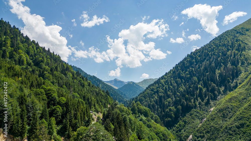 Mountain covered with forests. Aerial view forest. The mountain range is a natural protected area. Rize Kackar mountains in clear cloudy weather