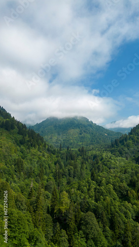 Mountain covered with forests. Aerial view forest