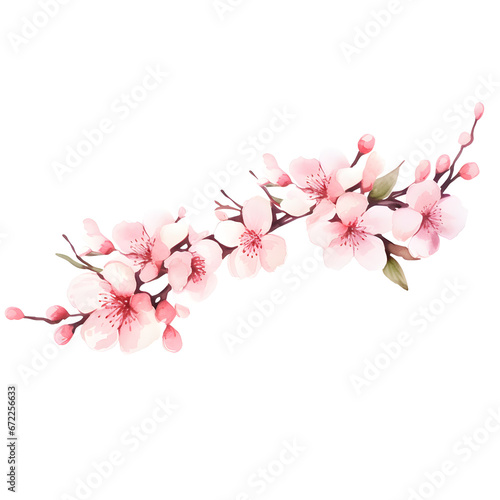 Watercolor floral sakura, watercolor pink flowers on white background.