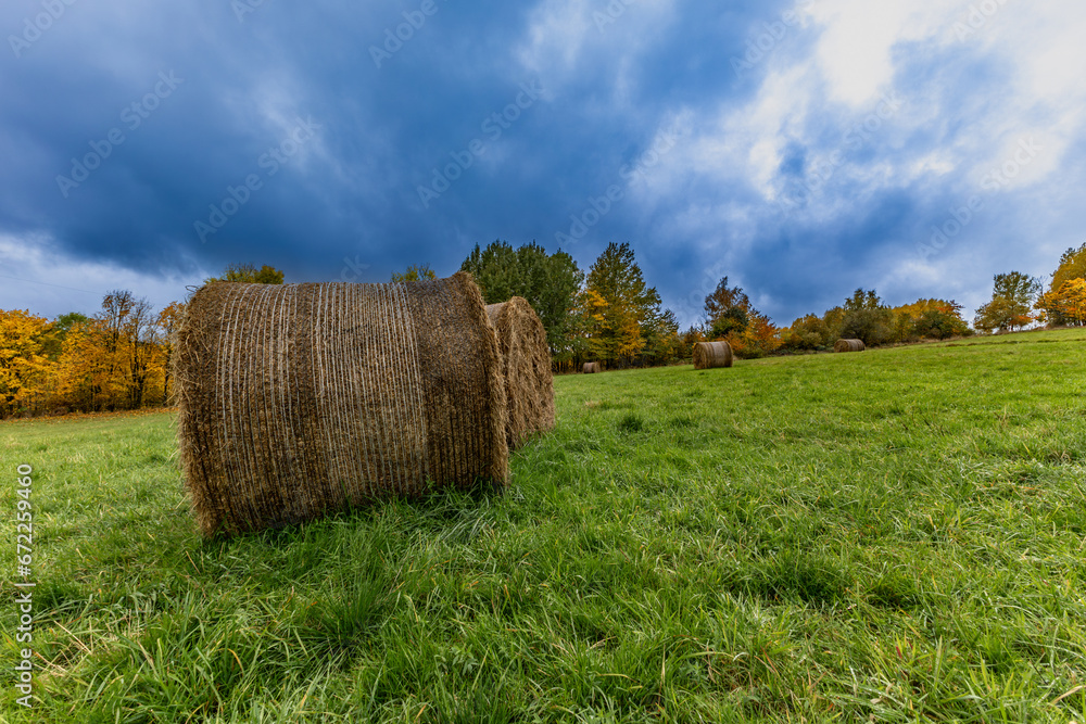Round hay bales in the field during harvest season