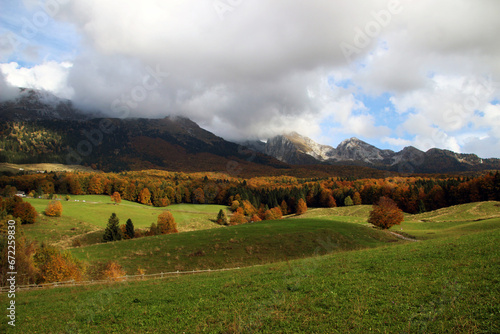 Autumn forest landscape with yellow folige