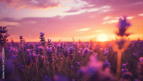 Lavender Sunset Serenity © DigitalLys