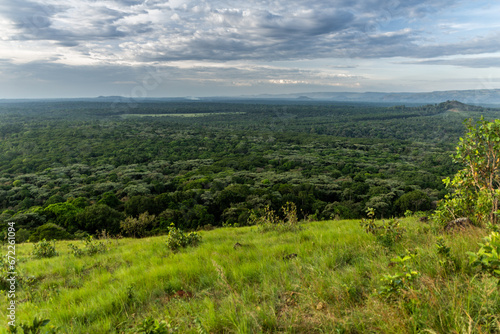 Aerial view of Kakamega Forest Reserve, Kenya