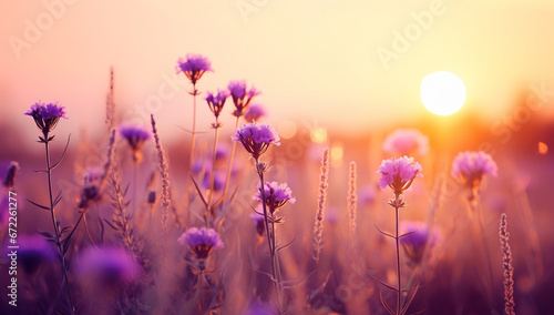 Lavender Serenity © DigitalLys