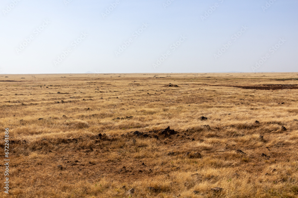 Fototapeta premium Landscape of Dide Galgalu desert., Kenya