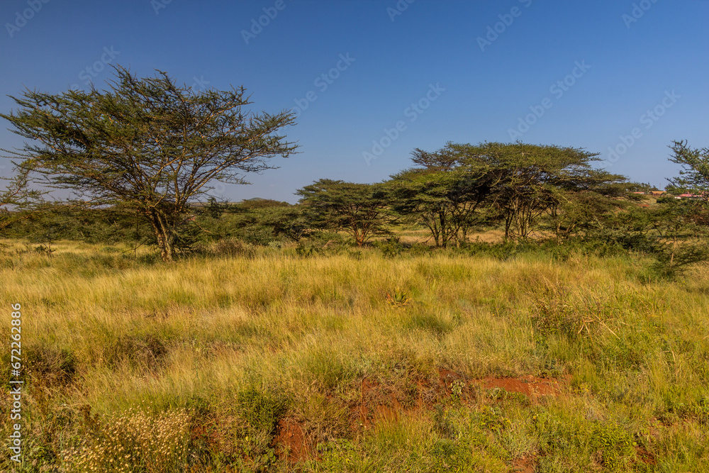 Landscape near Marsabit town, Kenya Landscape near Marsabit town, Kenya