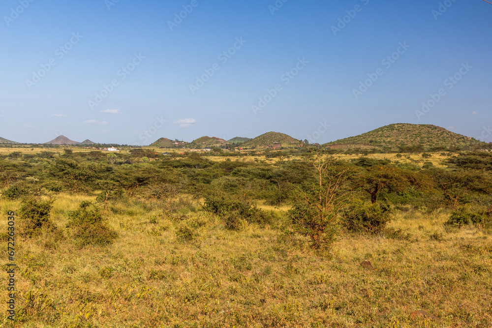 Fototapeta premium Landscape near Marsabit town, Kenya