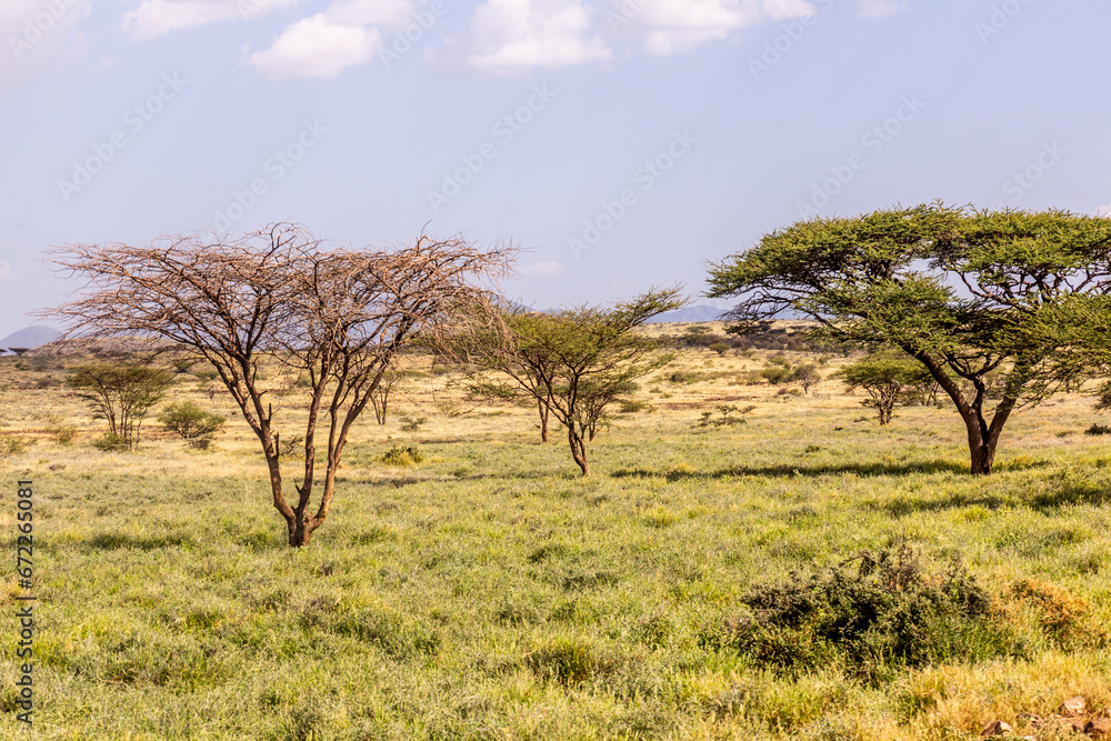 Landscape near Marsabit town, Kenya