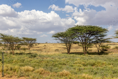 Landscape near Marsabit town  Kenya