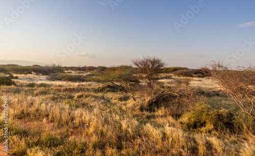 Landscape near Kargi in northern Kenya