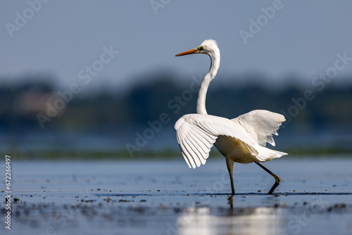 Obraz na płótnie Czapla biała heron w salonie