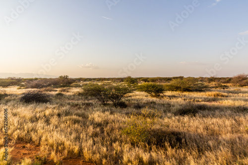 Landscape near Kargi in northern Kenya