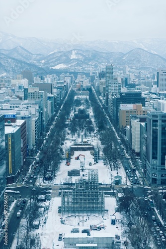 View of a bustling metropolitan cityscape with trees and snow-capped mountain range in the back