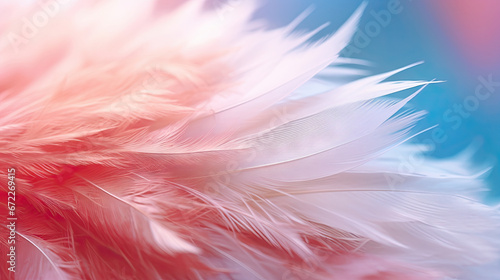  a close up of a pink and white feather on a blue and pink background. generative ai