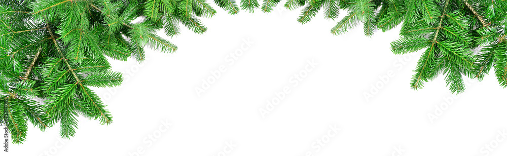 Christmas Fir Branches Frame with Fir Cones isolated on white Background - Panorama
