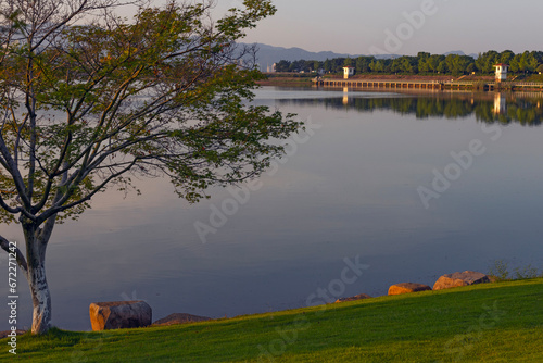 Decorative Chinese maple tree  near the Lake in Yiwu, Zhejiang, China photo