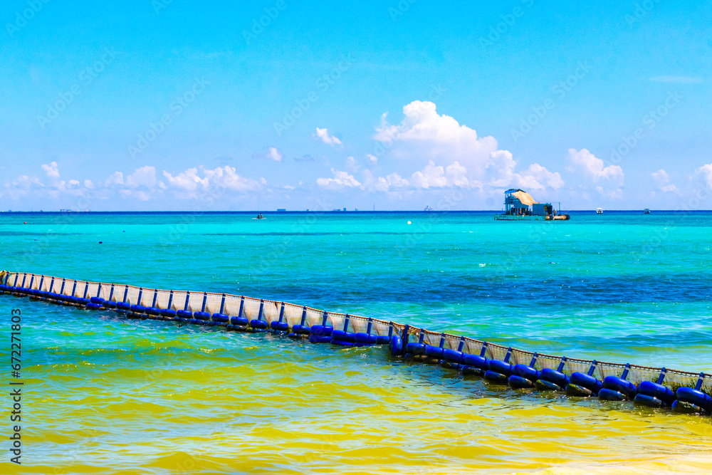 Fototapeta premium Seaweed Sargazo catcher net caribbean beach water Playa del Carmen Mexico.