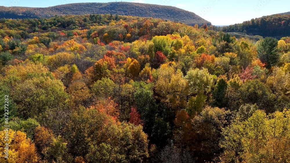 Autumn Fall colors in trees in beautiful sunlight showing bright orange, red and yellow colors across the countryside landscape Autumn Fall colors in trees in beautiful sunlight showing bright orange, red and yellow colors across the countryside landscape