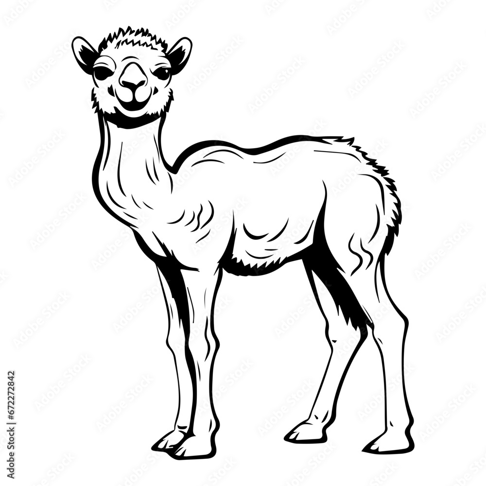 Fototapeta premium cute baby camel Monochrome illustration, Camel silhouette design, Generative AI.