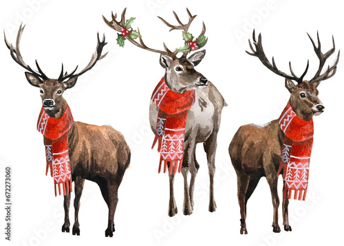 watercolor christmas deer illustrations