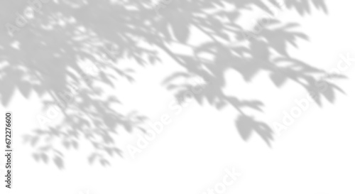 Fototapeta Naklejka Na Ścianę i Meble -  Shadow shade branches leaves cut-out transparent backgrounds 3d render png