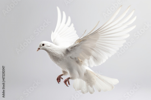 Explore the wonders of wildlife as a majestic white bird takes flight, its wings spanning wide in a magnificent display of grace and agility. AI Generative.