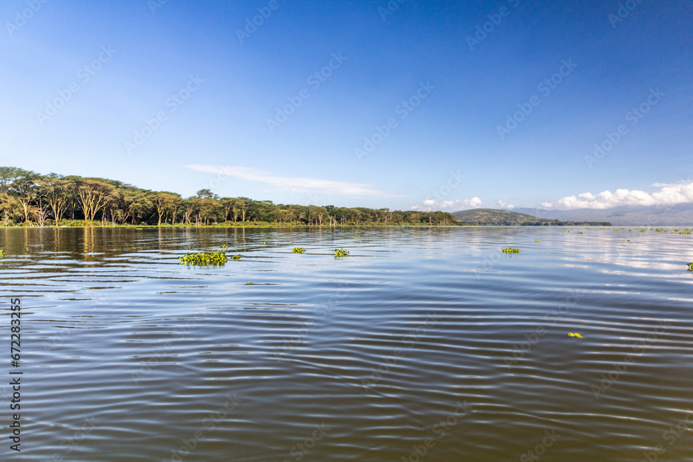 View of Naivasha lake, Kenya