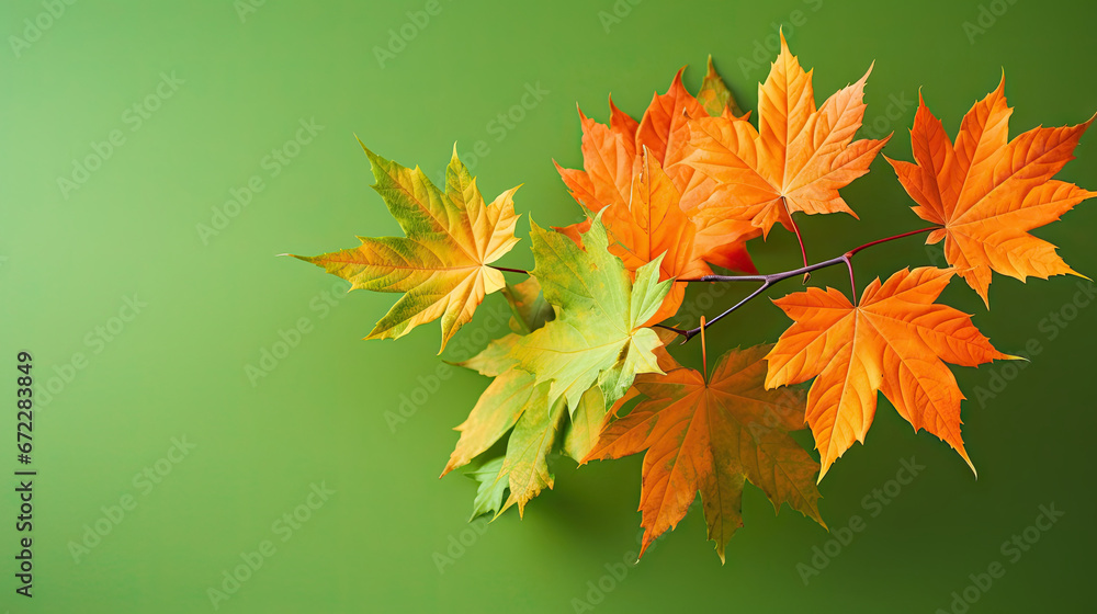 a bunch of leaves that are on a green surface with a green background. generative ai a bunch of leaves that are on a green surface with a green background. generative ai