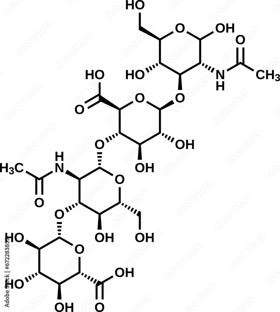 Hyaluronic acid tetrasaccharide structural formula, vector illustration Hyaluronic acid tetrasaccharide structural formula, vector illustration