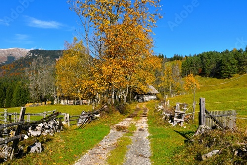 Rural road at Uskovnica alpine pasture with yellow colored trees in Julian alps, Gorenjska, Slovenia photo