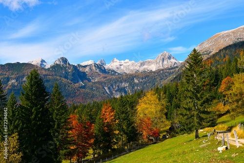 Mountain peaks Miseljski Vrh and Ogradi in Julian alps, Gorenjska, Slovenia with the trees in yellow and red autumn colors