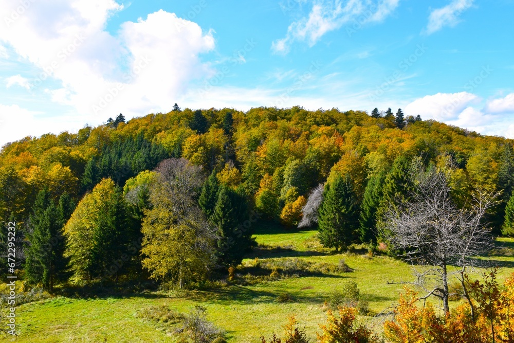 Meadow and forest covered hill in autumn colors behind in Kocevski Rog, Slovenia
