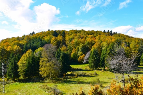 Fototapeta Naklejka Na Ścianę i Meble -  Meadow and forest covered hill in autumn colors behind in Kocevski Rog, Slovenia