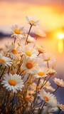 Amazing Macro Shot of a Bunch of Flowers over a Sunset Background. Golden Hour giving Brightness to the Flowers.
