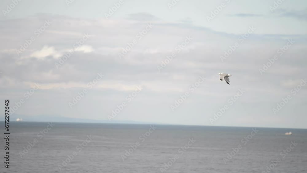 A seagull flying in the sky near a ship A seagull flying in the sky near a ship