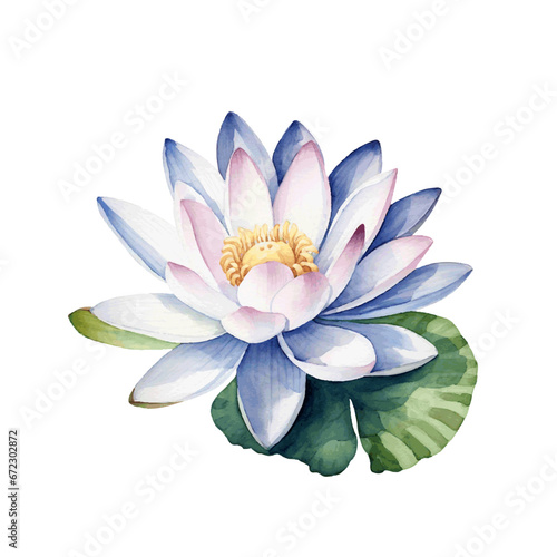 Fototapeta Naklejka Na Ścianę i Meble -  Beautiful lotus water lilly with leaves for card design watercolor paint on white background