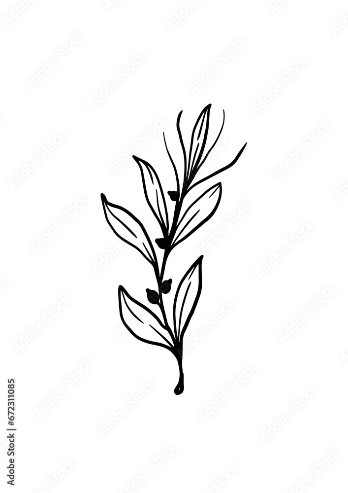 Fototapeta premium Line art of a pet