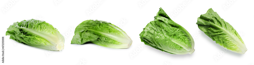 Fresh romaine lettuce heads isolated on white Fresh romaine lettuce heads isolated on white