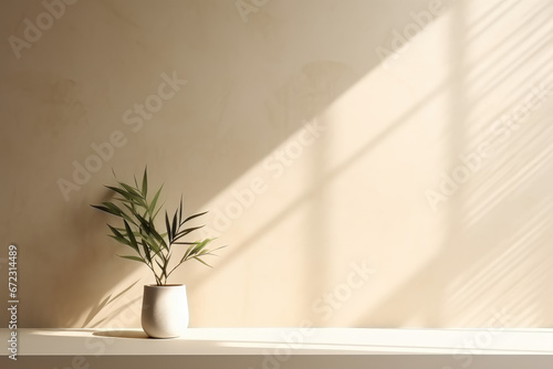 Plant in a pot on the table and beige wall. Copy space for product showcase. Interior design inspiration background