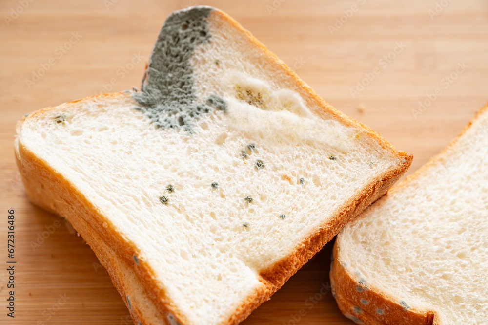 食パンに生えたアオカビと白カビ Stock Photo | Adobe Stock