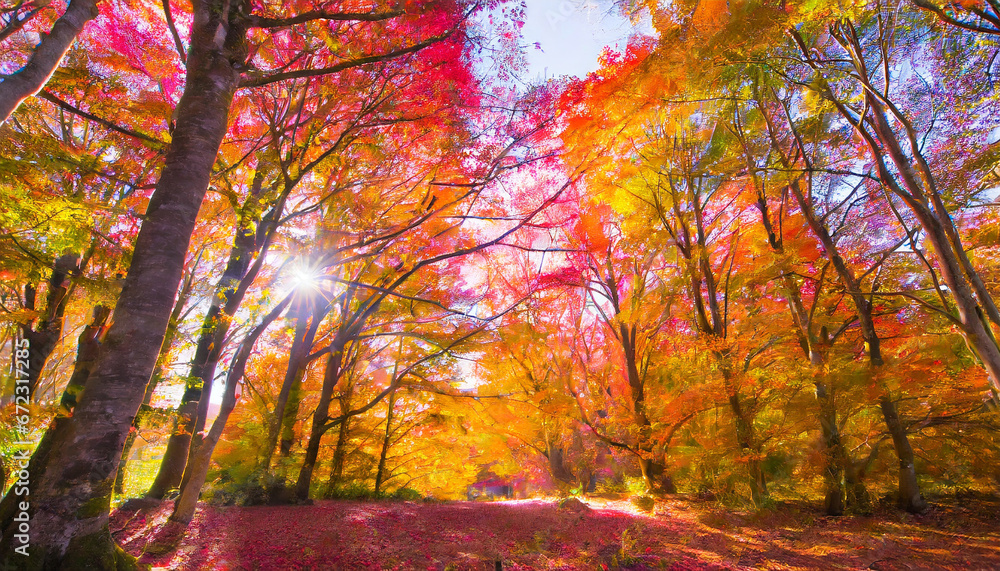 Autumn forest nature. Vivid morning in colorful forest with sun rays through branches of trees.
