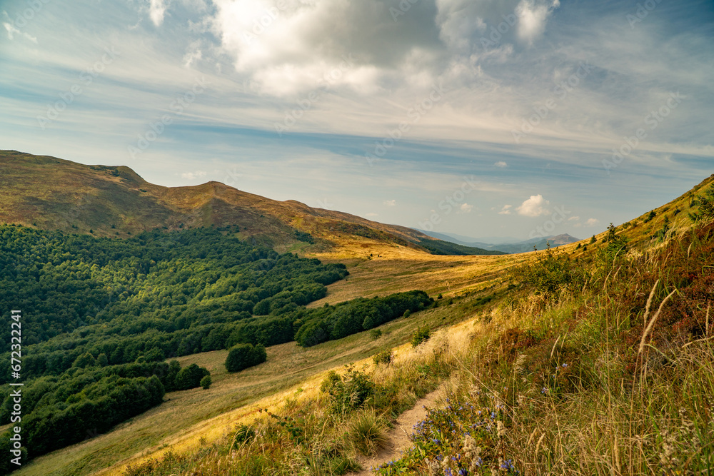 Naklejka premium A mountain range in the Bieszczady Mountains in the area of Tarnica, Halicz and Rozsypaniec.