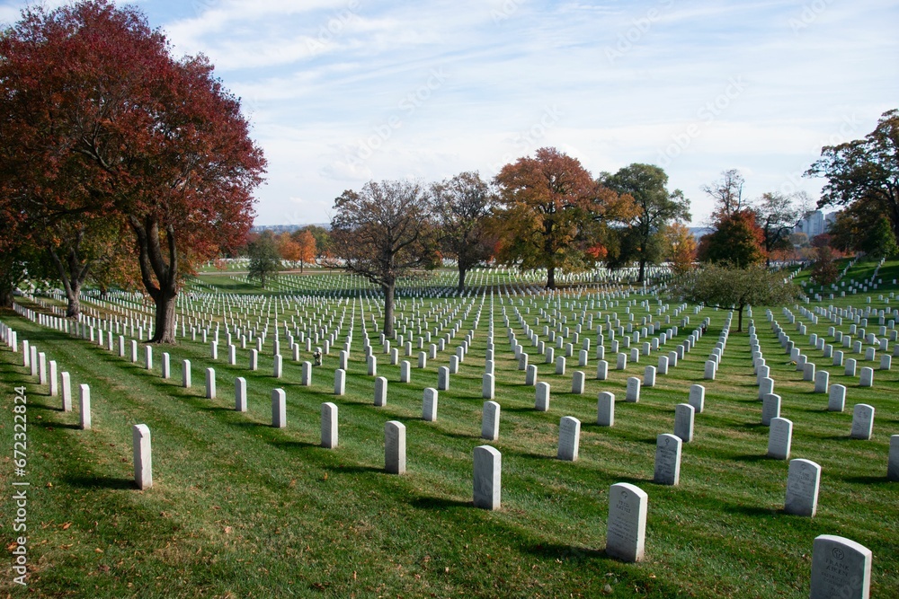 many headstones in rows along the green grass next to trees